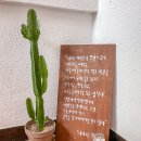 계단숙녀복 이미지