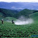 태백시농업기술센터 이미지