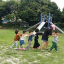 표선초등학교 이미지