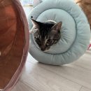 와우종합동물병원 이미지