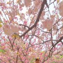 한진 목장 이미지