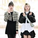 리즈 이미지