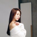 젤리피쉬 이미지