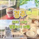 UR(경주시)-[포석로]-하-7 | [경주] 미피 사러 당일치기 여행 - 황리단길 소품샵, 미피스토어, 도미 피자, 노워즈 커피, 첨성대, 대릉원