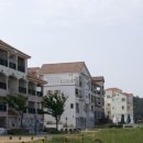 캠핑아일랜드 이미지