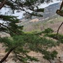 김정희약국 이미지