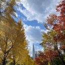 태경사우나 | 주간밥상[2025.10.27~2025.11.02]