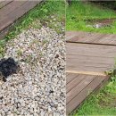 청평다감캠핑장 이미지