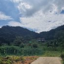 양지별밤 이미지