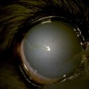 소로동물병원 이미지