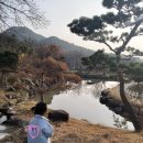 아벤티노의 농장 네이버블로그