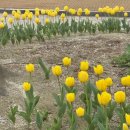 호수 황토 찜질방 | [경주&amp;포항 여행]3박 4일 국내여행 경주 동궁과월지 야경부터 포항 호미곶 핫플 모음