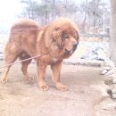 쌍둥이농장 이미지