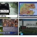 팩트체크
