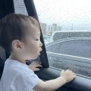 금강마트 | [가평]아이랑 갈만한곳 바니힐키즈풀빌라 내돈내산 후기. 조은마트 온정리 닭갈비 금강막국수