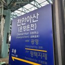 청양에서 보내는 2023년 마지막, 그리고 2024년 새해 (feat. 알프스마을 외 청양 현지인 맛집 투어...