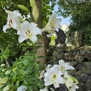 수룡동경로당 이미지