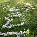 토이 play 이미지