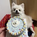 슈비듀밥 이미지