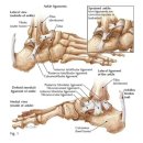 힐정형외과의원 이미지