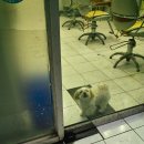 일신전설옆 이미지