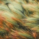 천만공인중개사사무소 이미지