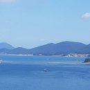 해동검도 춘천현무관 | 푸쉬업 챌린지 15일차