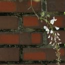 무안북중학교 이미지