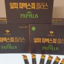 왕눈이코알라