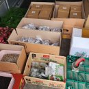 북수초등학교 이미지