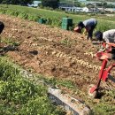 북천면사무소 이미지