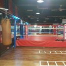 고영삼복싱아카데미 이미지