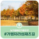 가평뒷동산길 이미지