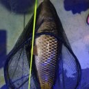 어부바낚시까페 이미지