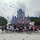 경희대인성태권도 이미지