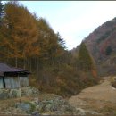 고향생각 이미지