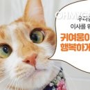 우리동생 동물병원 이미지