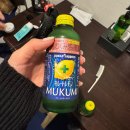 [일본] 후쿠오카 3박 4일 / 하가카레우동, 기타큐슈당일치기, 카레혼포모지코레트로점, 텐진크리스마스켓