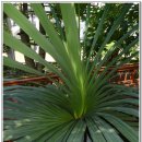 파인포유 이미지