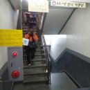 땡분식