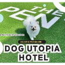 도그유토피아 이미지