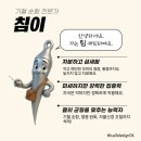 대해한의원 네이버블로그