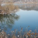 광교호수로 이미지