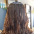 벨루스 헤어 이미지