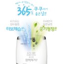 365렌탈