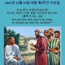 211215. 묵상글 들 ( 대림 제3주간 수요일. - 행복도 불행도. 등 ) 이미지