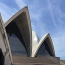 오페라하우스 | 호주 시드니 오페라하우스 그레이트 오페라 히트 관람 후기ㅣ내돈내산 추천 비추천