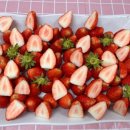 신자금성 이미지