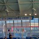 제22회 경상북도 교육감기 초등학생 수영대회 이미지
