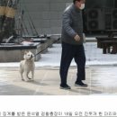 윤석열 총장님 환갑 축하합니다” 지지자들 대검 앞서 생일잔치 이미지